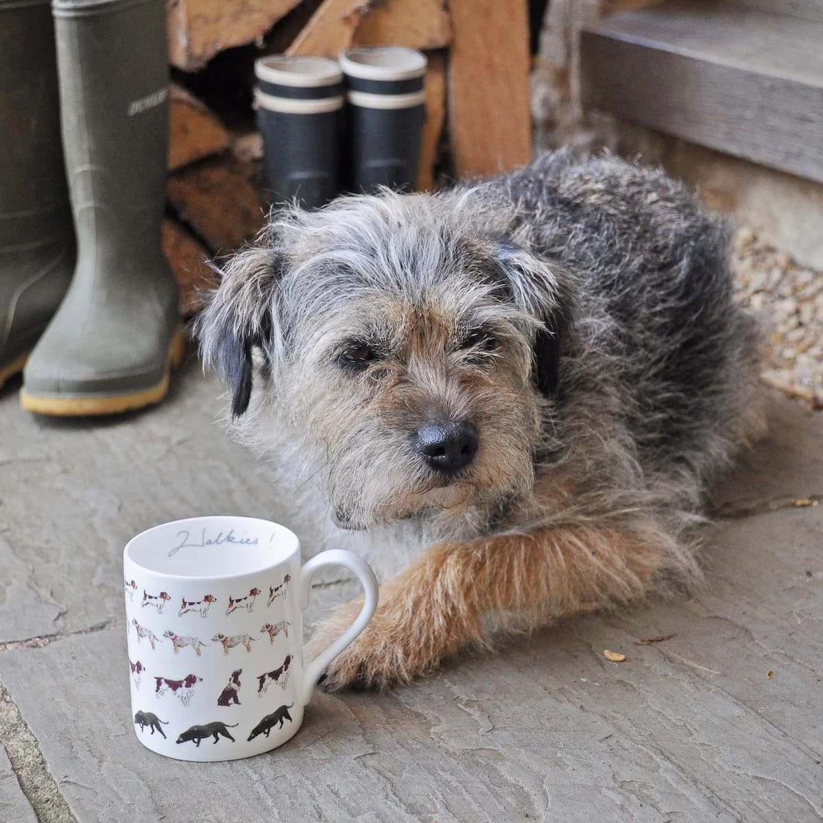 Walkies Mug Walkies Mug -Sophie Allport Shop BMWA01WalkiesStandardMugwithTessLifestyleHighRes