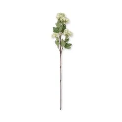 Faux Viburnum - Green 2 Faux Viburnum - Green -Sophie Allport Shop SS24 ABX5752GR CUTOUT 001f1188 b63d 4474 aee0 7b8aab1f9e6c