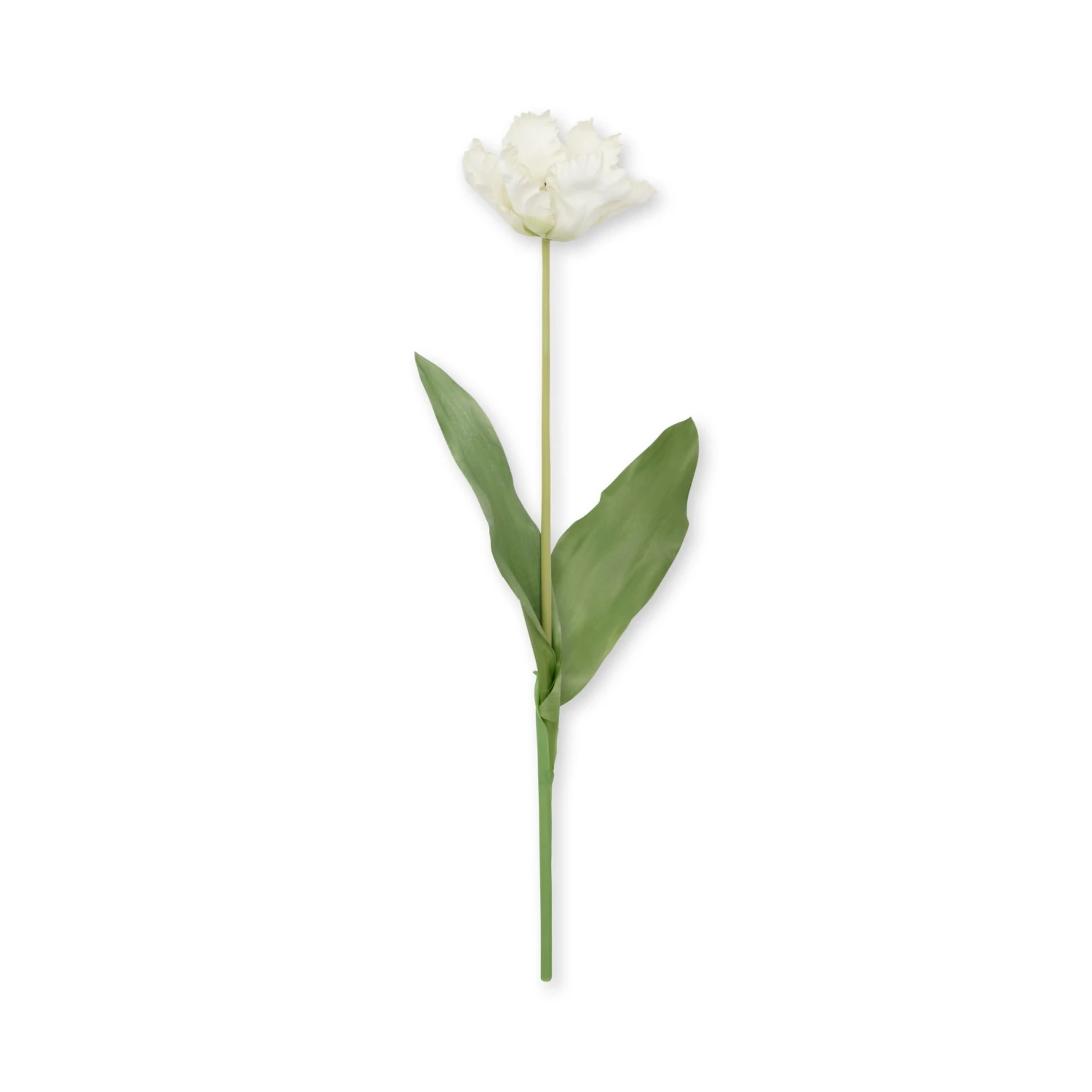Faux Parrot Tulip - White Faux Parrot Tulip - White -Sophie Allport Shop SS24 ABY5005WH CUTOUT scaled