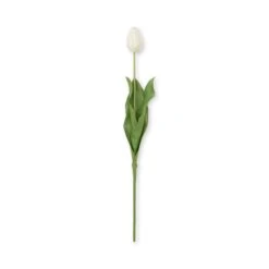 Faux Tulip - White 2 Faux Tulip - White -Sophie Allport Shop SS24 ABY5657WH CUTOUT