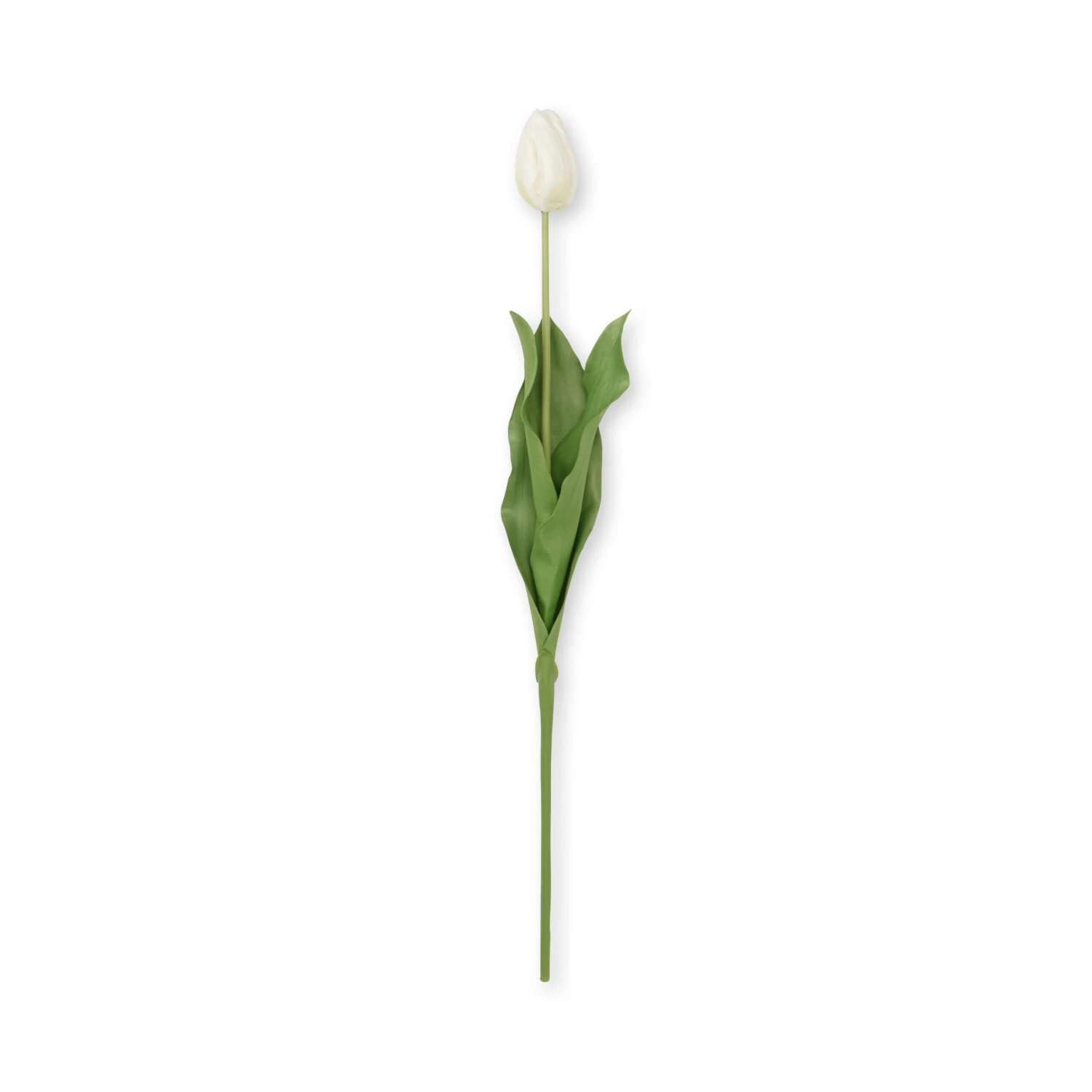 Faux Tulip - White Faux Tulip - White -Sophie Allport Shop SS24 ABY5657WH CUTOUT scaled