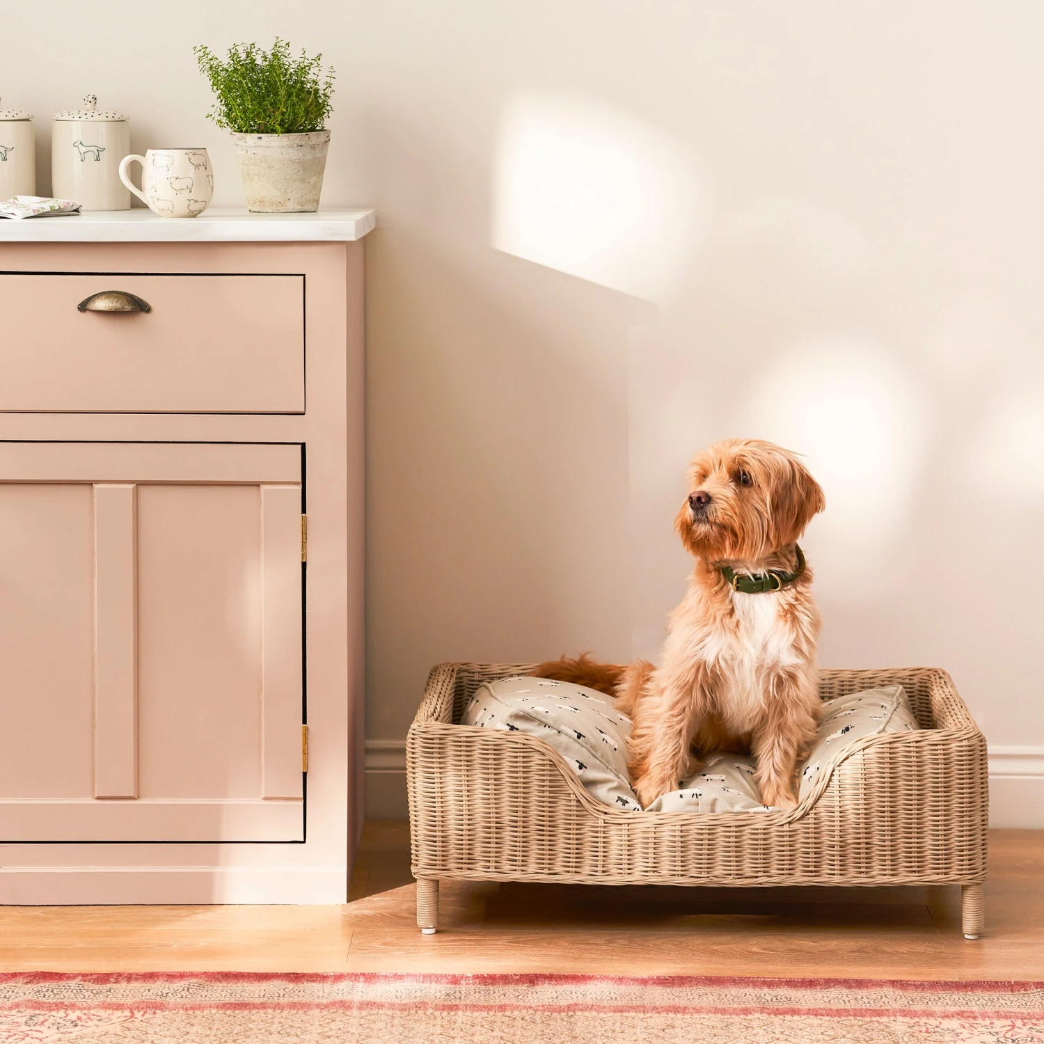 Rattan Pet Bed - Natural Rattan Pet Bed - Natural -Sophie Allport Shop SS24 RATCD750 SQUARE