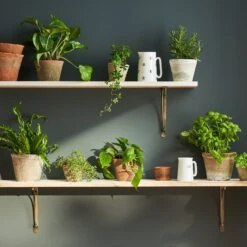 Aged Stone Terracotta Pot -Sophie Allport Shop SS24 Y1009 Y1008 Y1007 Y1014 Y1013 Y1012 SQUARE