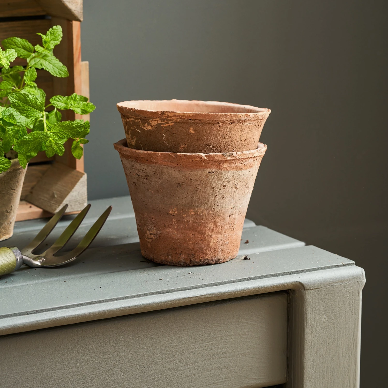 Aged Terracotta Pot Aged Terracotta Pot -Sophie Allport Shop SS24 Y1014 SQUARE