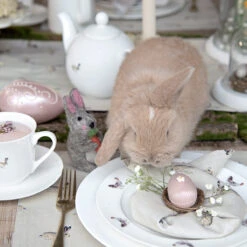 Hare Napkins (Set Of 4) -Sophie Allport Shop all25300 all25820 hare napkin set of 4 and fabric placemat easter bunny 2 lifestyle high res square