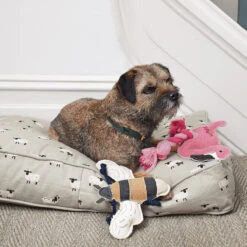 Bees Dog Toy 2 Bees Dog Toy -Sophie Allport Shop all43750m sheep pet mattress small lifestyle high res square 4e2123c3 92cd 4e38 af1e 1906ca05ee7c