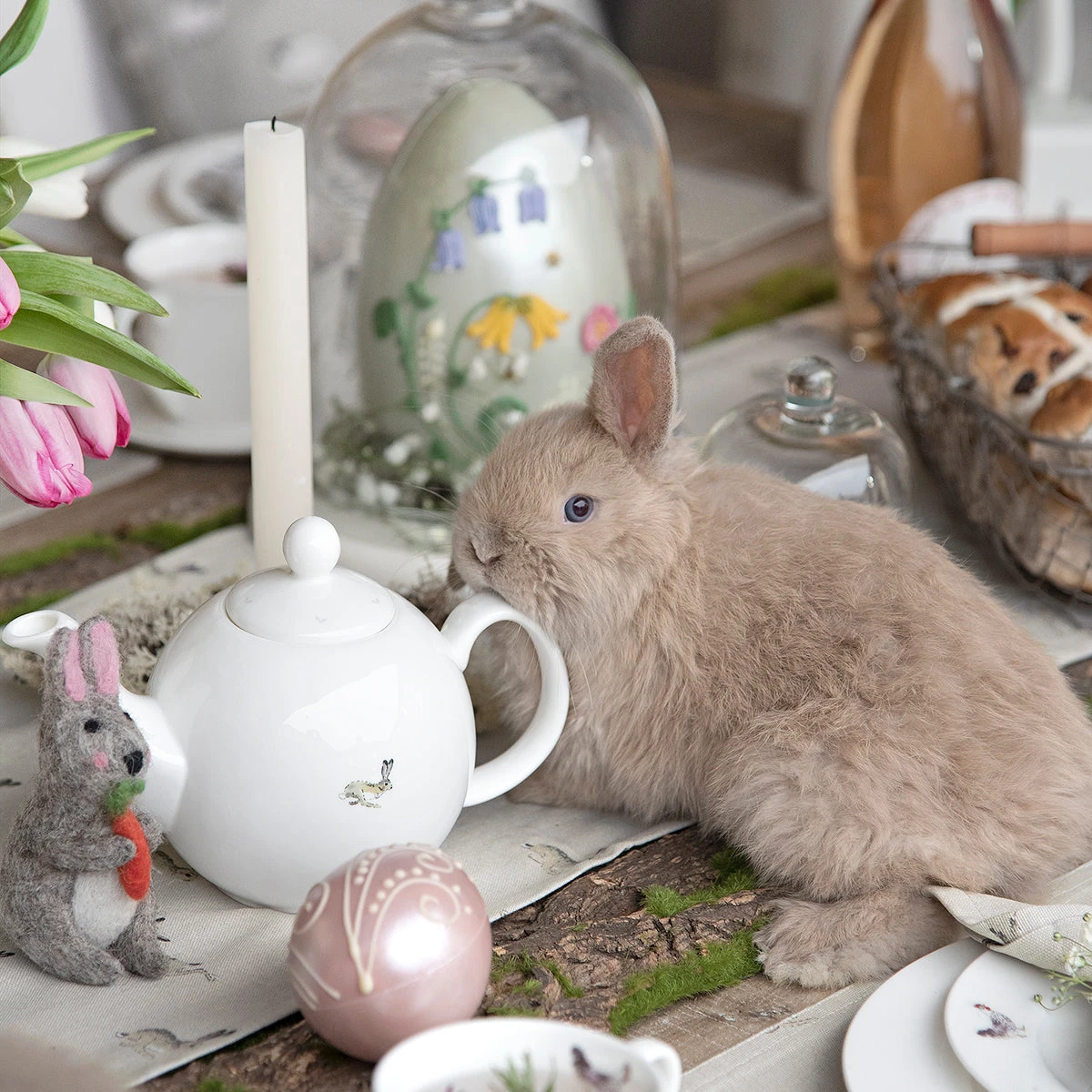 Hare Teapot Hare Teapot -Sophie Allport Shop easter bunny 2021 campaign 3 lifestyle high res square