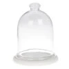 Large Glass Cloche