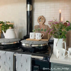 Highland Stag Solo Mug -Sophie Allport Shop highland stag collection influencer