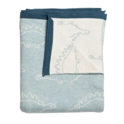 Dinosaurs Blanket