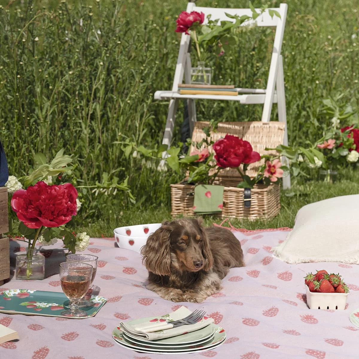 Strawberries Melamine Dinner Plate Strawberries Melamine Dinner Plate -Sophie Allport Shop kpb97145 poly97525 mbk9703 pt9726 all97602 strawberries picnic 3 lifestyle high res square 1 9f8d9d2a b665 4065 8e9c c8da44a74800