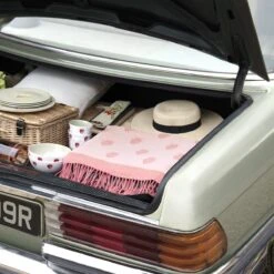 Strawberries Melamine Dinner Plate 3 Strawberries Melamine Dinner Plate -Sophie Allport Shop kpb97145 strawberries picnic blanket lifestyle high res square 6147be01 4d2b 4d16 9c58 af8d9fd8923e