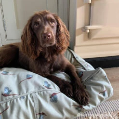 Pheasant Pet Mattress -Sophie Allport Shop pheasant collection influencer ALL19750M