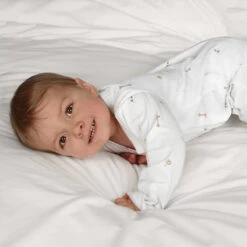 Bears & Balloons Baby Grow