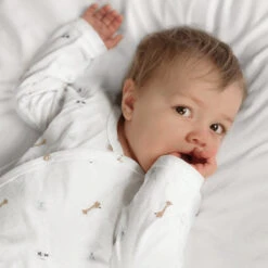 Bears & Balloons Baby Grow -Sophie Allport Shop pjcj791218 bears balloons baby sleepsuit 12 18 month lifestyle high res square