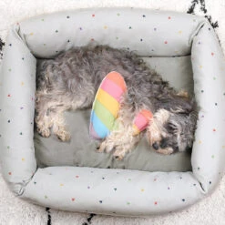 Hearts Pet Bed -Sophie Allport Shop poly81755 pt8125 hearts multicoloured pet bed medium and pet toy 2 lifestyle high res square