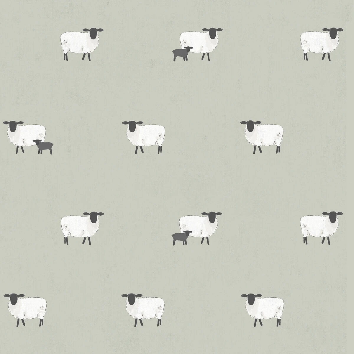 Sheep Sage Made to Measure Roller Blind Sheep Sage Made To Measure Roller Blind -Sophie Allport Shop rlb43sgm2m sheep sage artwork roller blind made to measure cut out 2 high res square