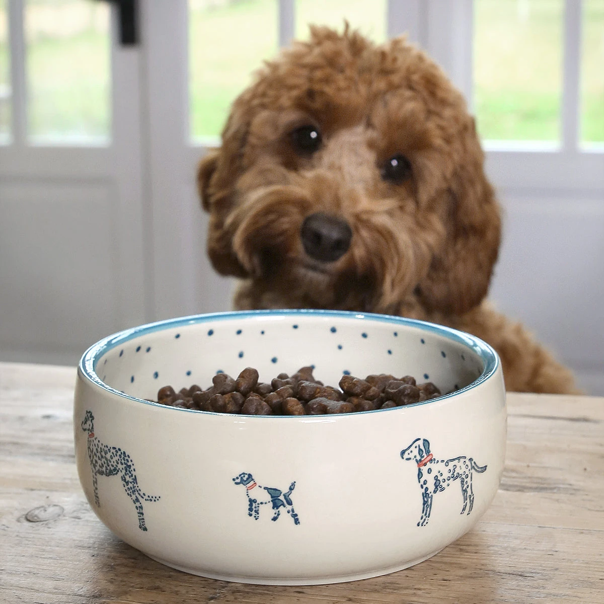 Fetch Stoneware Dog Bowl Fetch Stoneware Dog Bowl -Sophie Allport Shop spb72m fetch stoneware patterned pet bowl medium 2 lifestyle high res square
