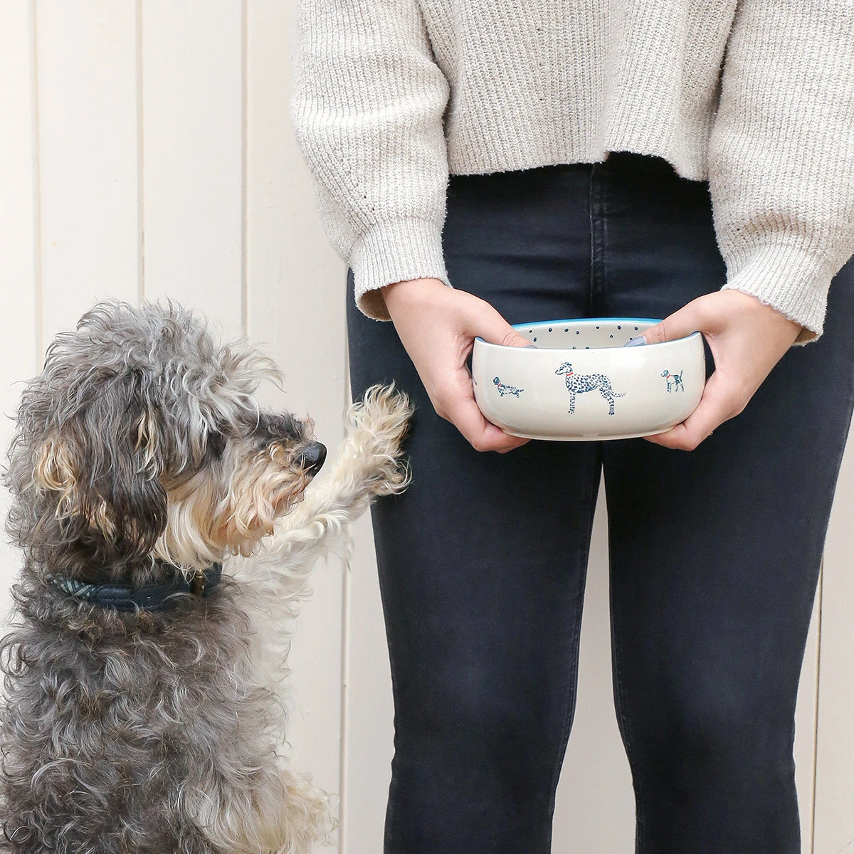 Fetch Stoneware Dog Bowl Fetch Stoneware Dog Bowl -Sophie Allport Shop spb72m fetch stoneware patterned pet bowl medium 3 lifestyle high res square