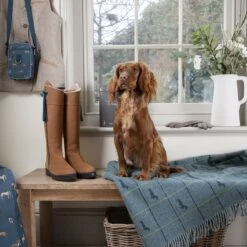 Dachshund Wool Knitted Throw -Sophie Allport Shop tassels and tails f f collection 2 lifestyle high res square