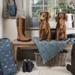 Dachshund Wool Knitted Throw -Sophie Allport Shop tassels and tails f f collection lifestyle high res square 0a8f1416 f50e 4c9d b4f7 1001e54ace02