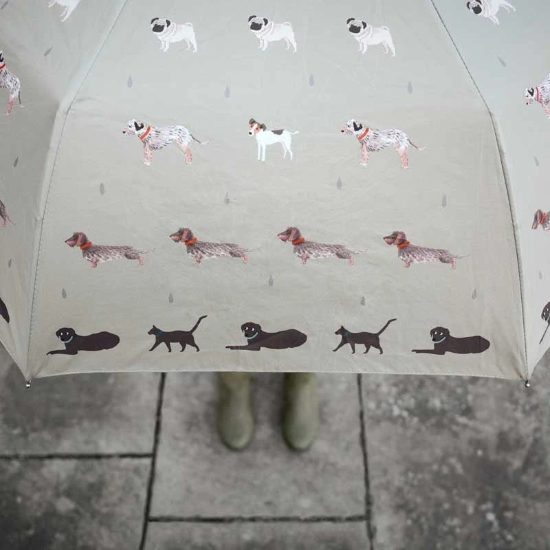 Raining Cats & Dogs Umbrella Raining Cats & Dogs Umbrella -Sophie Allport Shop um313228 raining cats and dogs umbrella lifestyle web square