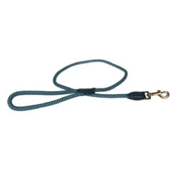 Teal Rope Lead