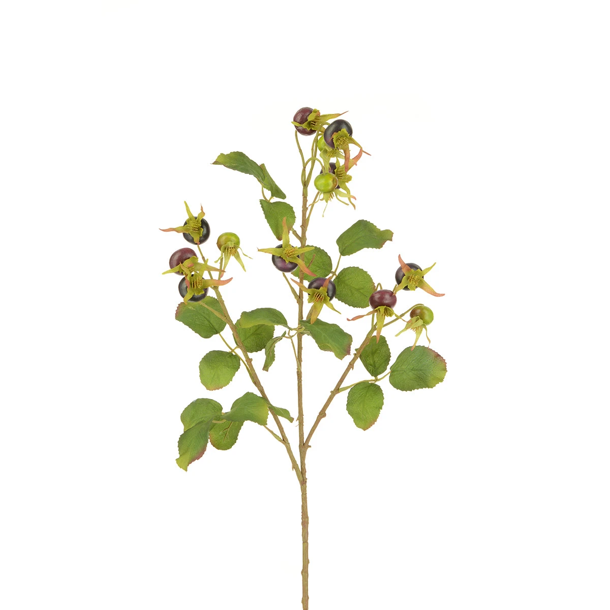 Rosehip Spray Rosehip Spray -Sophie Allport Shop x35572bu rosehip spray 85cm cut out high res square